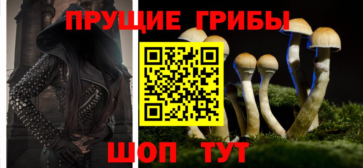 Галлюциногенные грибы Psilocybine cubensis  Псилоцибиновые грибы ЛСД  Партизанск  Вход с VPN 
