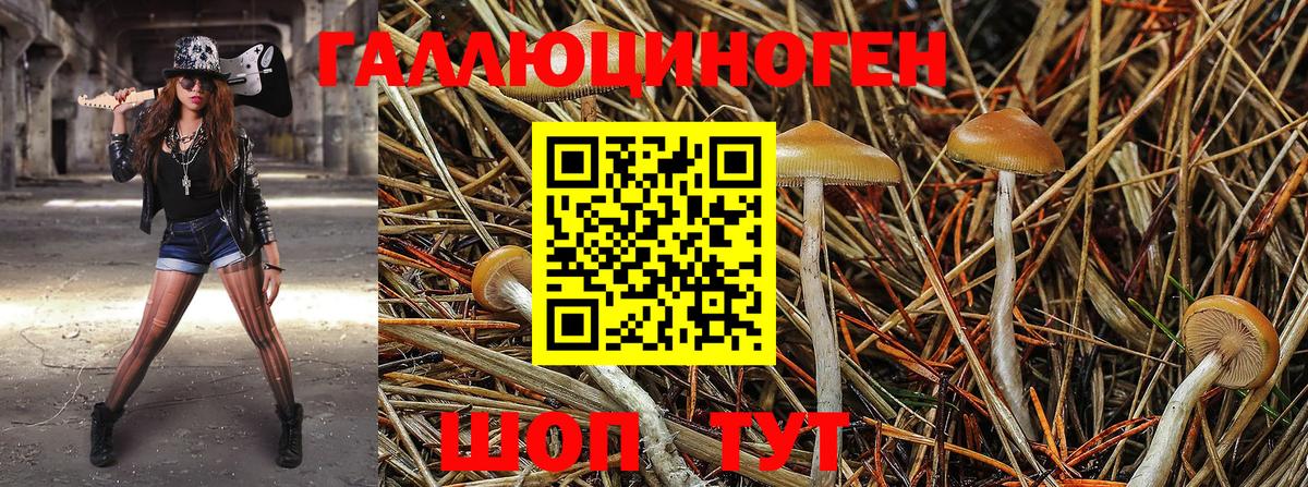 Галлюциногенные грибы ЛСД Партизанск